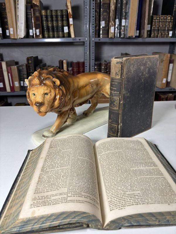 Libros Antiguos de Historia en dos Volúmenes por Cantu 1858 - imagen 3