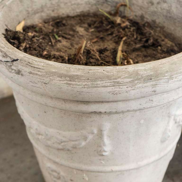 Maceta y bolsa de tierra para jardinería - imagen 3