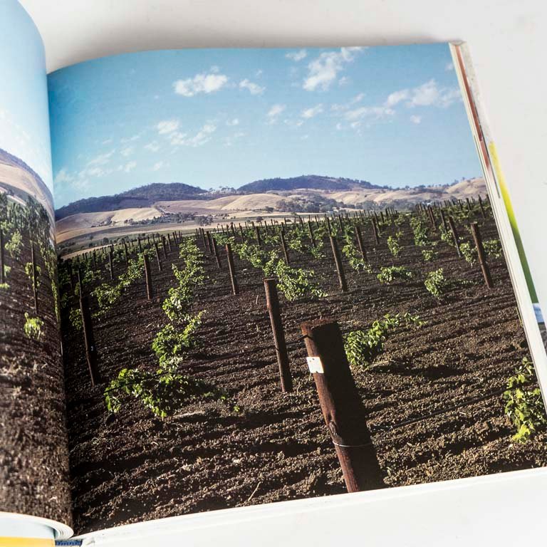 Libro sobre vinos y estilos de tapa dura - imagen 2