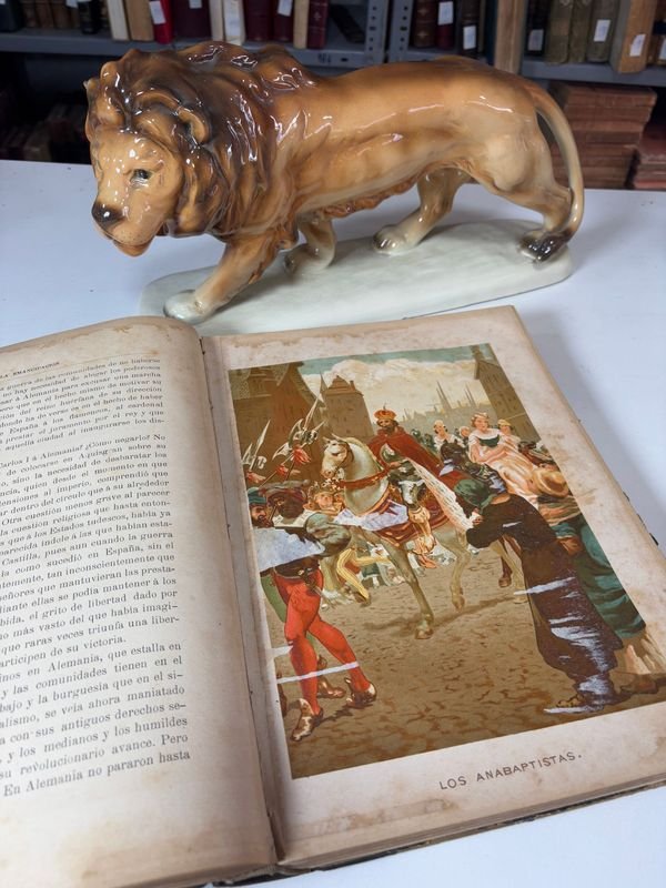 Item 885488 - Image 2