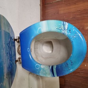 Juego de Baño Completo: Inodoro con Tapa Decorada, Cisterna y Bacha de Loza con Canilla - imagen 3