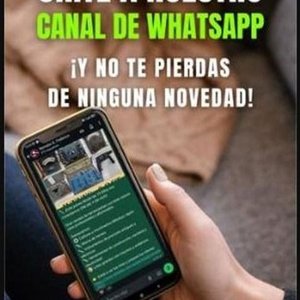 Lote anterior: Canal de WhatsApp para Novedades de Remates