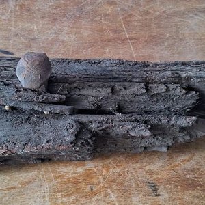 Lote anterior: Perchero Artesanal de Madera Rústica con Tornillos