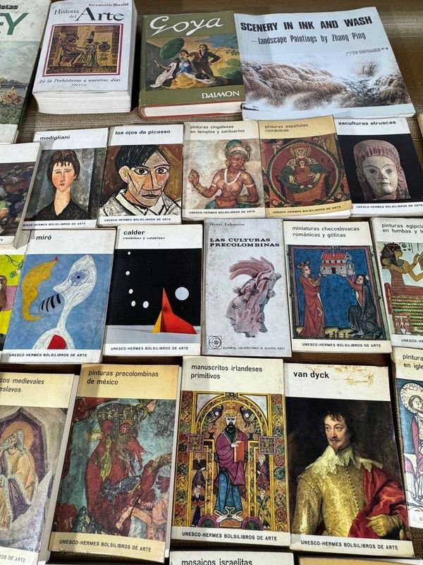 Libros y materiales de estudio en español - imagen 4