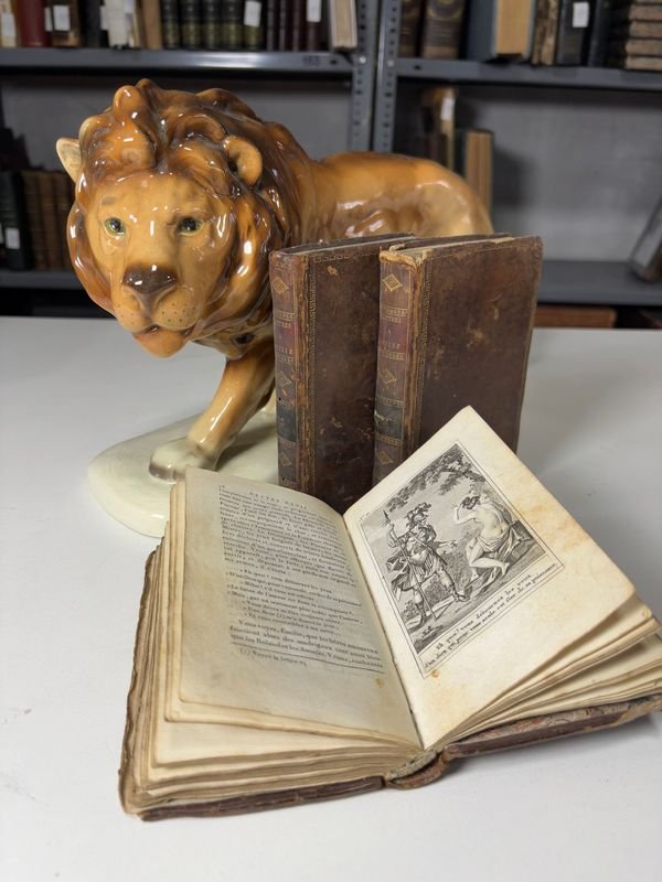 Item 879463 - Image 2