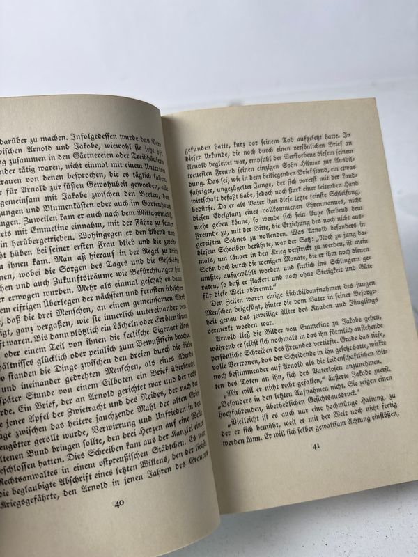 Novela alemana de destino y conflicto humano, Stuttgart, 1926 - imagen 6