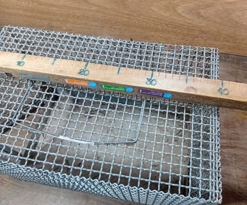 Cárcava para gatos, fuerte y resistente - imagen 4