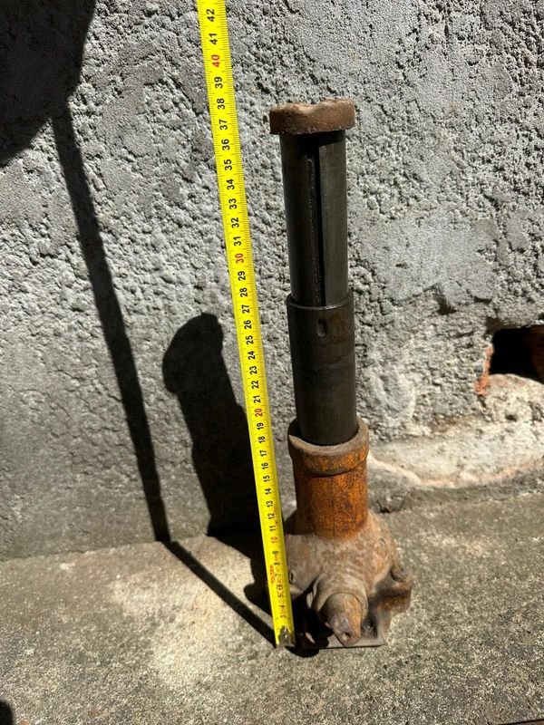 Lote siguiente: Gato tipo botella japonés en venta