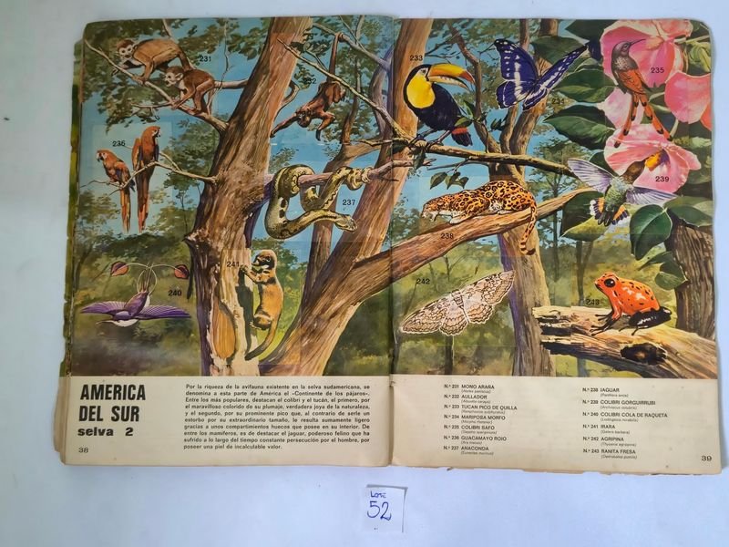 Item 844753 - Image 16