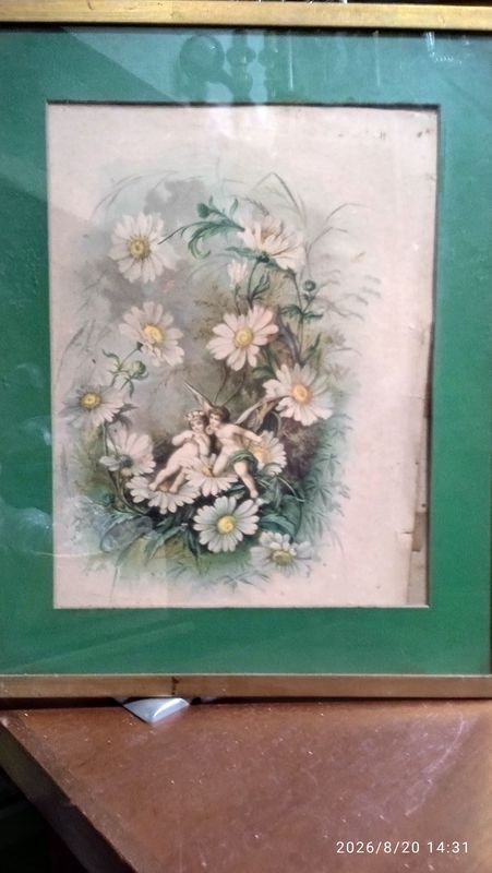 Ilustración Antigua: Querubines y Ramillete de Margaritas (37x46 cm)