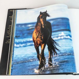 Libro de Fotografía de Caballos: "Horses: Their Temperament and Elegance" por Gabrielle Boiselle - imagen 2
