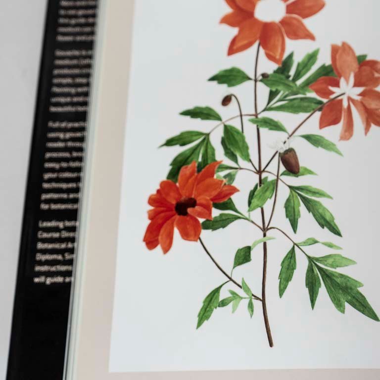 Item 2111810 - Image 1