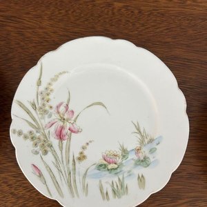 Lote de 3 Platos Decorativos de Porcelana Inglesa Booths - imagen 6