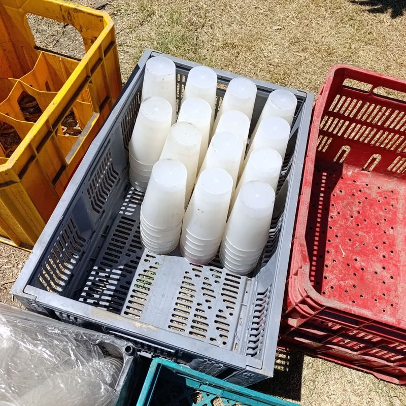 Plásticos descartables y contenedores para vasos - imagen 3