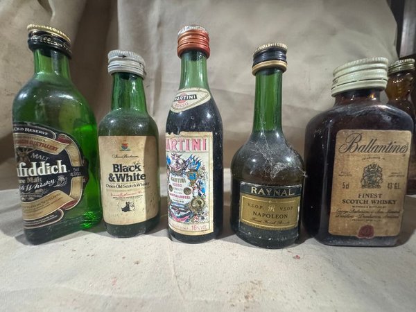 Lote de Botellas Miniatura de Licores Varios Selladas - imagen 1