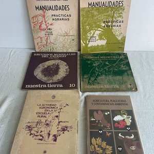 Lote anterior: Lote de Libros: Manualidades, Agronomía, Plantas Medicinales y Recursos Minerales