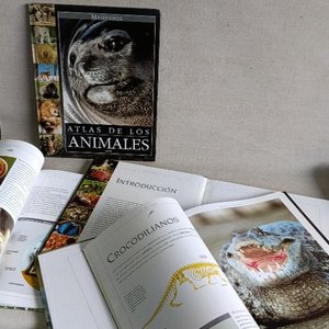 Lote siguiente: Lote de 4 Atlas National Geographic: Animales, Océanos, África y Asia