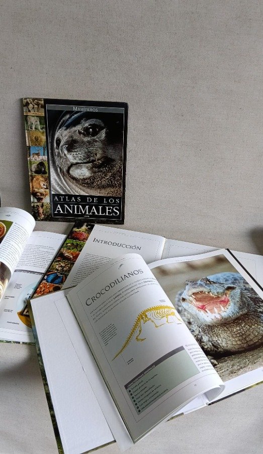 Lote de 4 Atlas National Geographic: Animales, Océanos, África y Asia