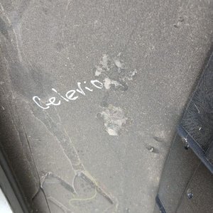 Lote de 13 Paragolpes Delanteros y Traseros para Diversas Marcas - imagen 13