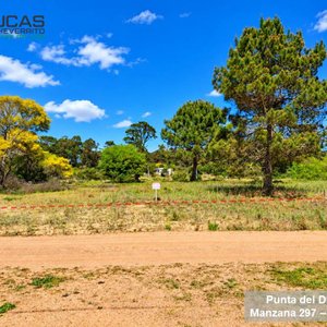 Terreno en Venta en Punta del Diablo, Rocha - 510 m² con Frente Arbolado - imagen 2