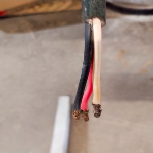 Amoladora Trifásica con Base de Hierro - imagen 7