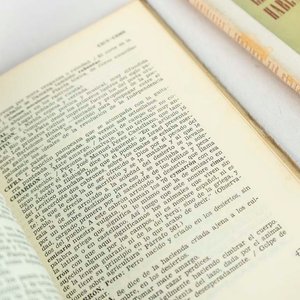 2 Libros de Juan Carlos Guarnieri: Diccionario del Lenguaje Campesino Rioplatense y Lenguaje Popular - imagen 2