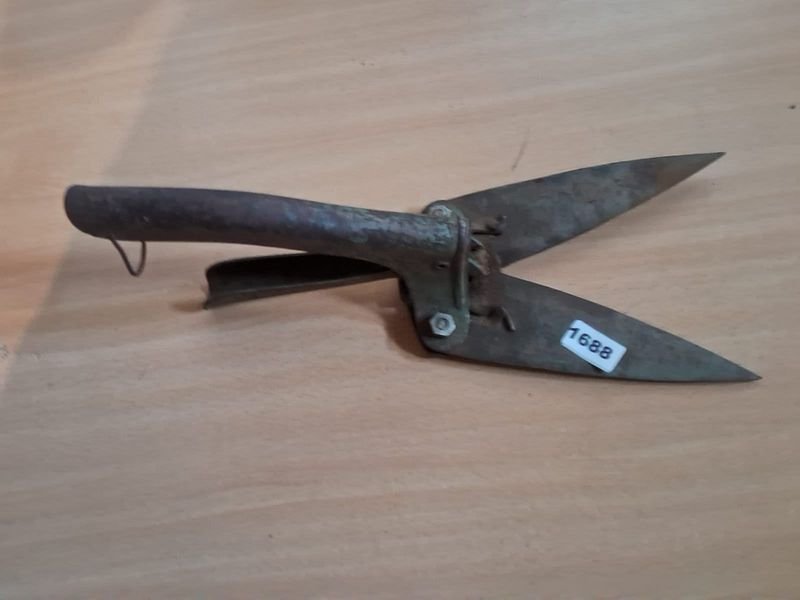 Item 894845 - Image 3