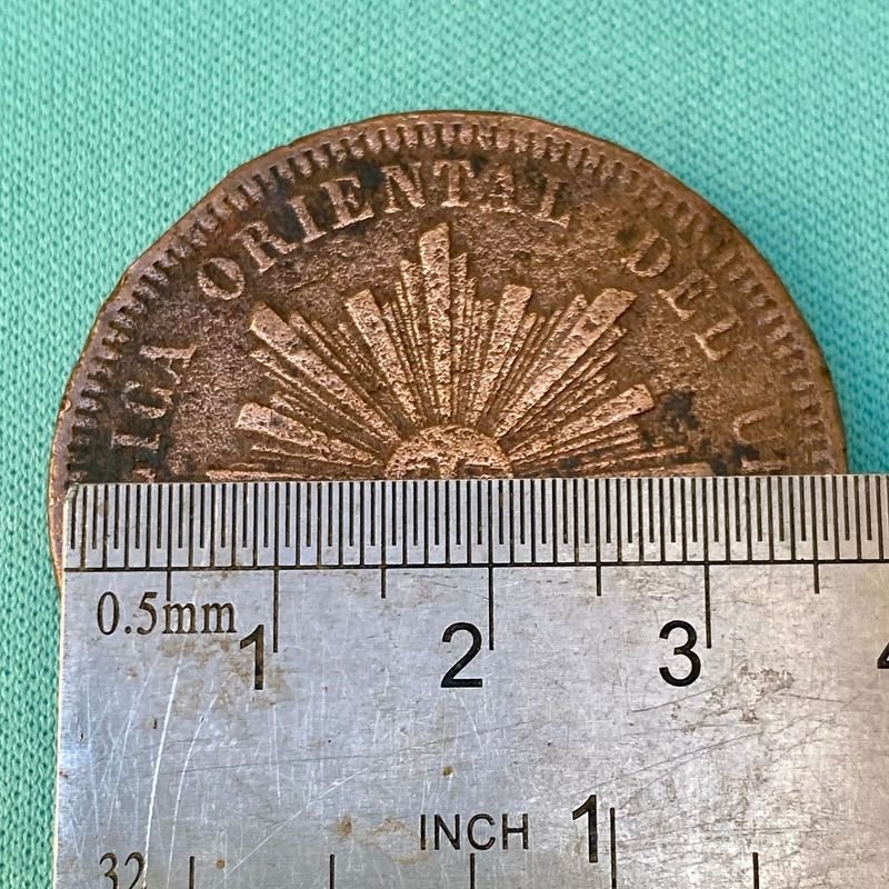 Item 877167 - Image 2