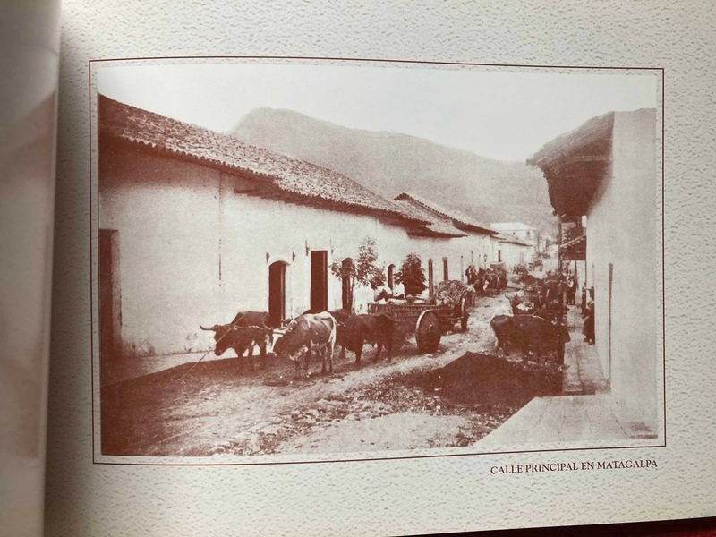 Item 849834 - Image 1