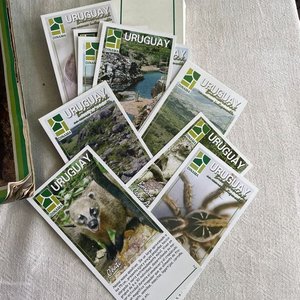 Lote de Libros y Tarjetas sobre Naturaleza, Aves y Geografía de Uruguay - imagen 2