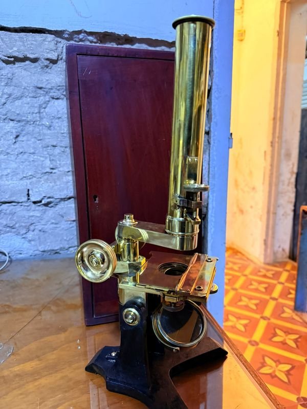 Item 883544 - Image 4