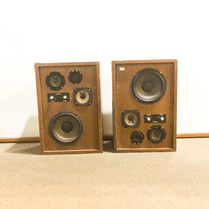 Lote anterior: Dos Cajas de Madera con Parlantes "Level" (Sin Probar)