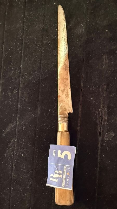 Cuchillo de Hoja Coronada: Análisis y Descripción - imagen 3