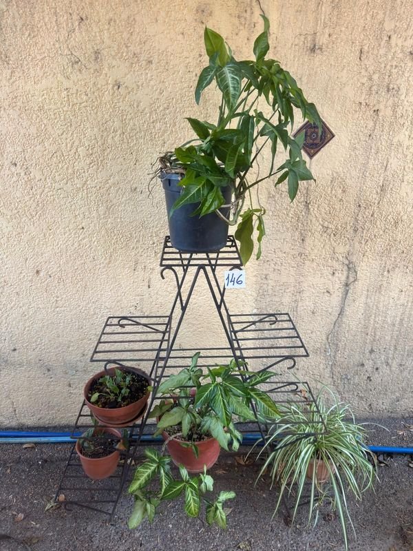 Item 892402 - Image 0