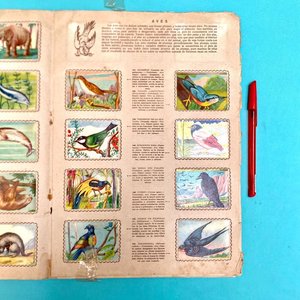 Álbum Antiguo de Figuritas "Animales de Todo el Mundo" - Editorial Fher - imagen 9