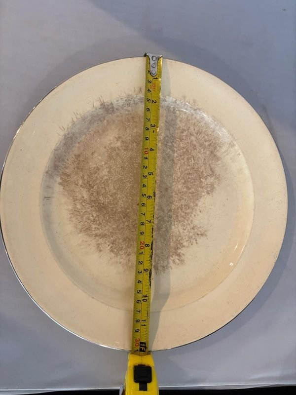 Lote anterior: Plato con Ruler en Blanco y Amarillo
