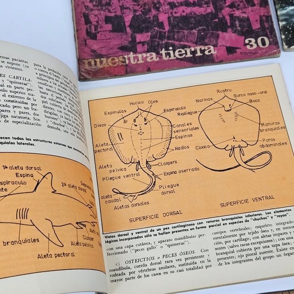 Libros sobre temáticas del Uruguay - imagen 2
