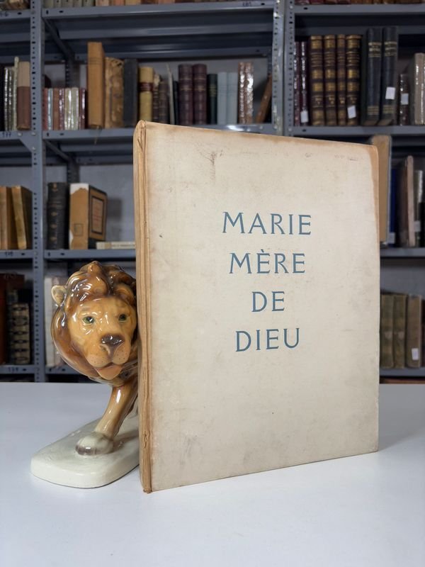 Item 879419 - Image 0