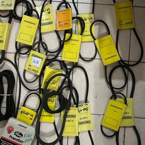 Correas - imagen 2