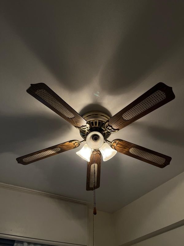 Ventilador de Techo con Luz, Madera y Bronce