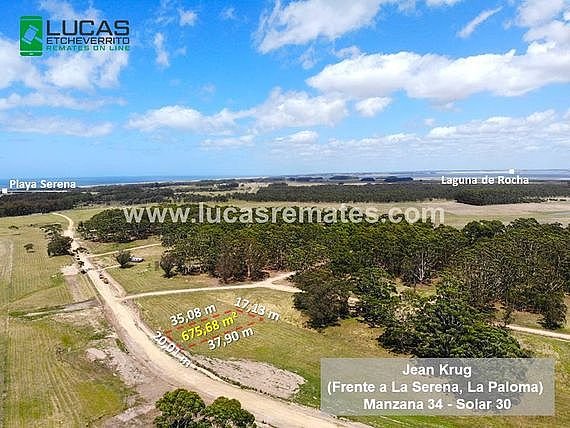 Item 31720 - Image 0