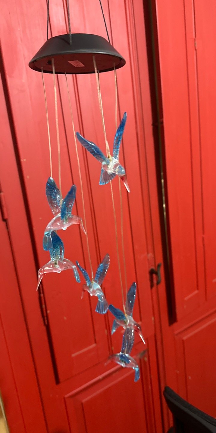 Pájaros con luces