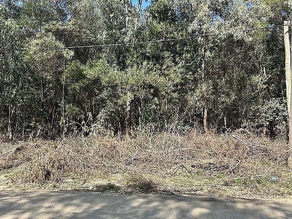 Item 31674 - Image 0