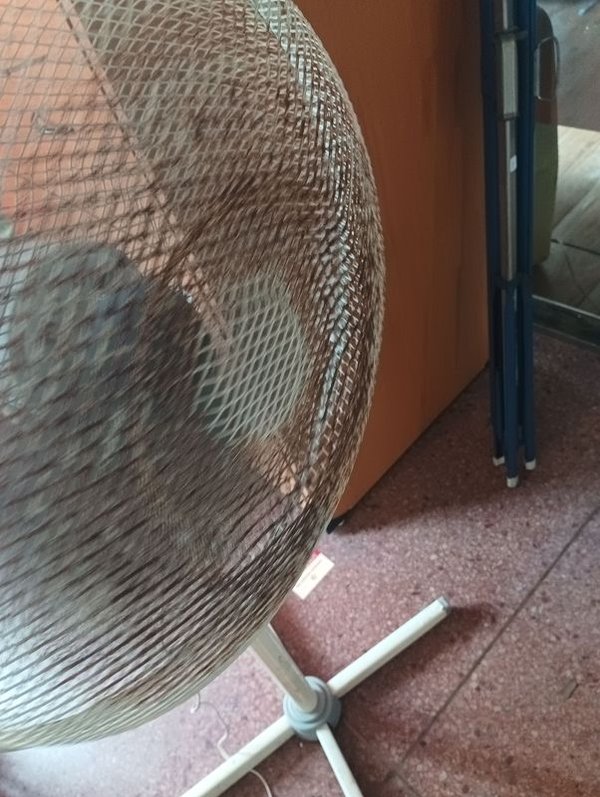 Ventilador de Oficina con Accesorios - imagen 5