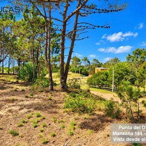 Terreno en Punta del Diablo con Vista al Mar, 510 m2, a 5 Cuadras de Playa La Viuda - imagen 6