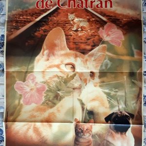Lote anterior: Poster Original "Las Aventuras de Chatran" (1986) - 72 x 106 cm