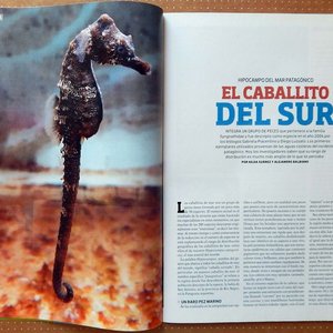 Lote de 4 Revistas Muy Interesante: Ciencia, Historia y Más - imagen 2
