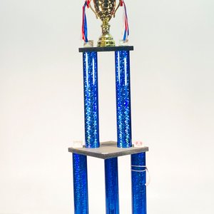 Trofeo de Copa de Plata para Torneo Empresarial - imagen 2