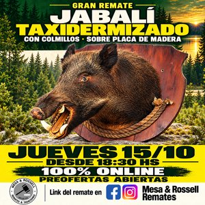 Gran Remate de Caza, Pesca y Camping: Reels Abu Garcia, Penn, Cañas, Cuchillería y Más - imagen 5