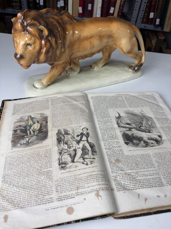 Item 889646 - Image 3